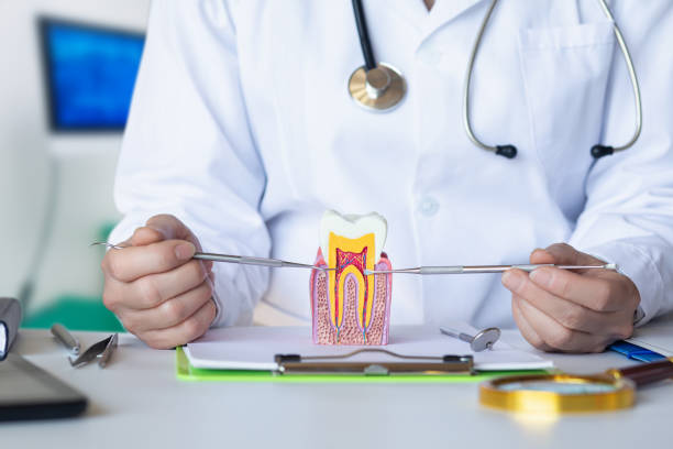 Best Emergency Tooth Extraction in Liolnton, NC